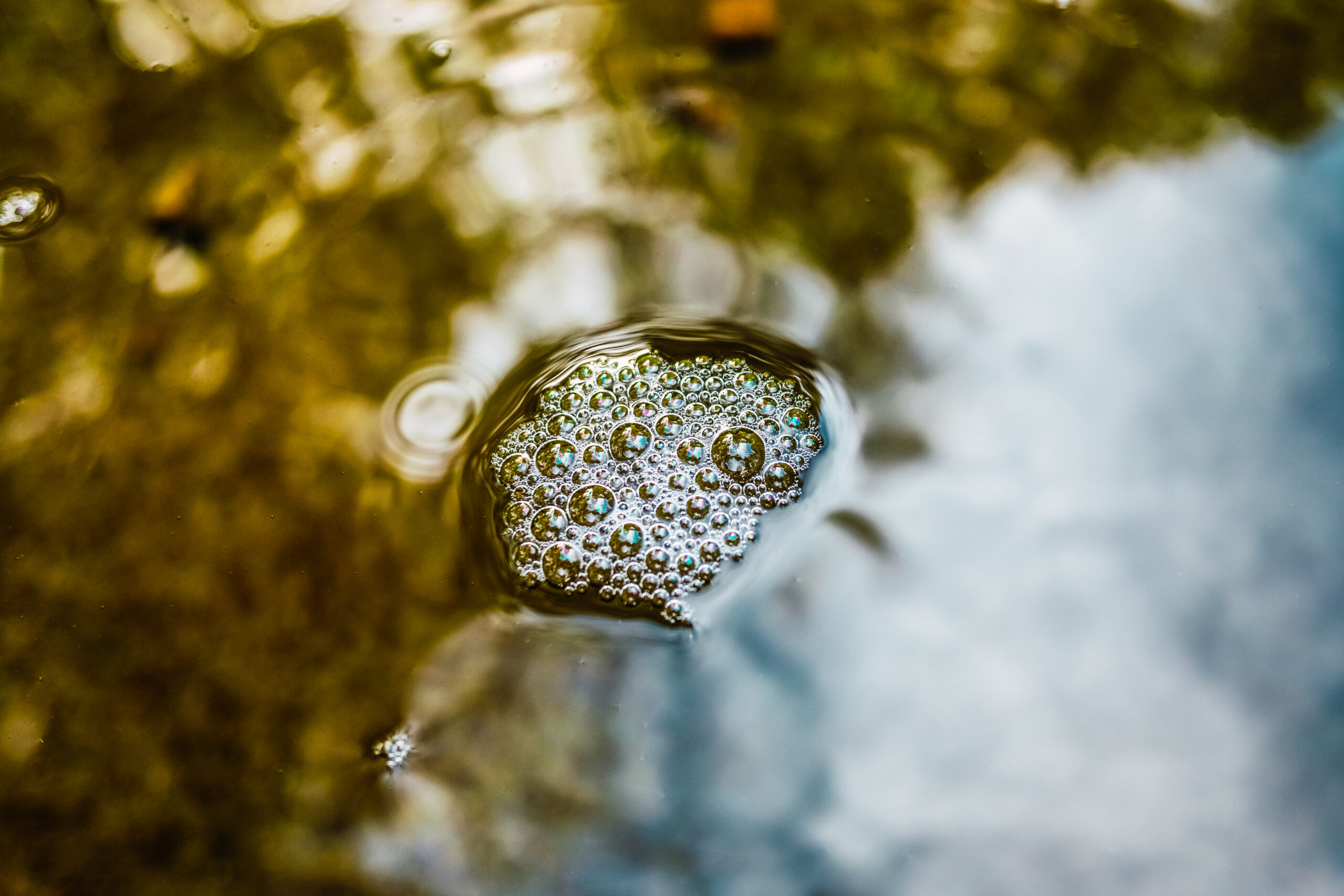 Scandale en Belgique Une contamination massive des eaux par les PFAS